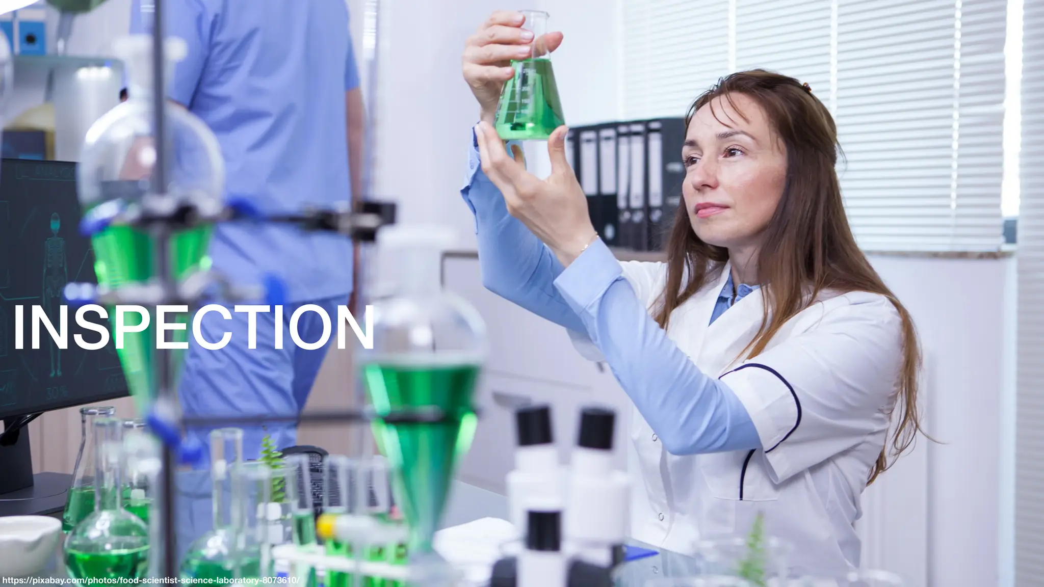 https://pixabay.com/photos/food-scientist-science-laboratory-8073610/
INSPECTION
 
