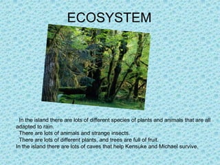 ECOSYSTEM




 In the island there are lots of different species of plants and animals that are all
adapted to rain.
 There are lots of animals and strange insects.
 There are lots of different plants, and trees are full of fruit.
In the island there are lots of caves that help Kensuke and Michael survive.
 