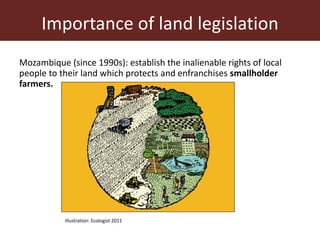 Setting boundaries: Legislation of communal pasture areas
