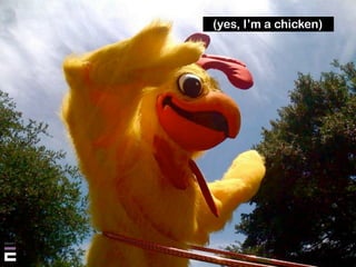 (yes, I’m a chicken)
 