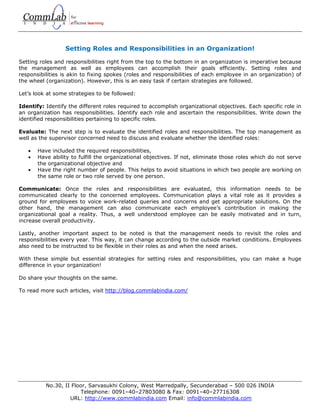 Setting roles and responsibilities in an organization! | PDF