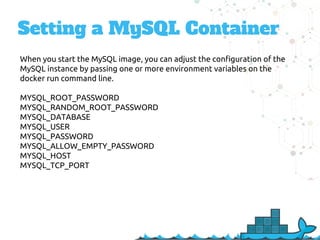 Setting up a MySQL Docker Container | PPT