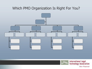 Which PMO Organization Is Right For You?
 