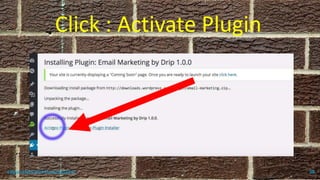 Click : Activate Plugin
topanalyticalvirtualassistant 88
 