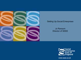 Setting Up Social Enterprises


         Jo Ransom
      Director of SEEE




            www.seee.co.uk
 