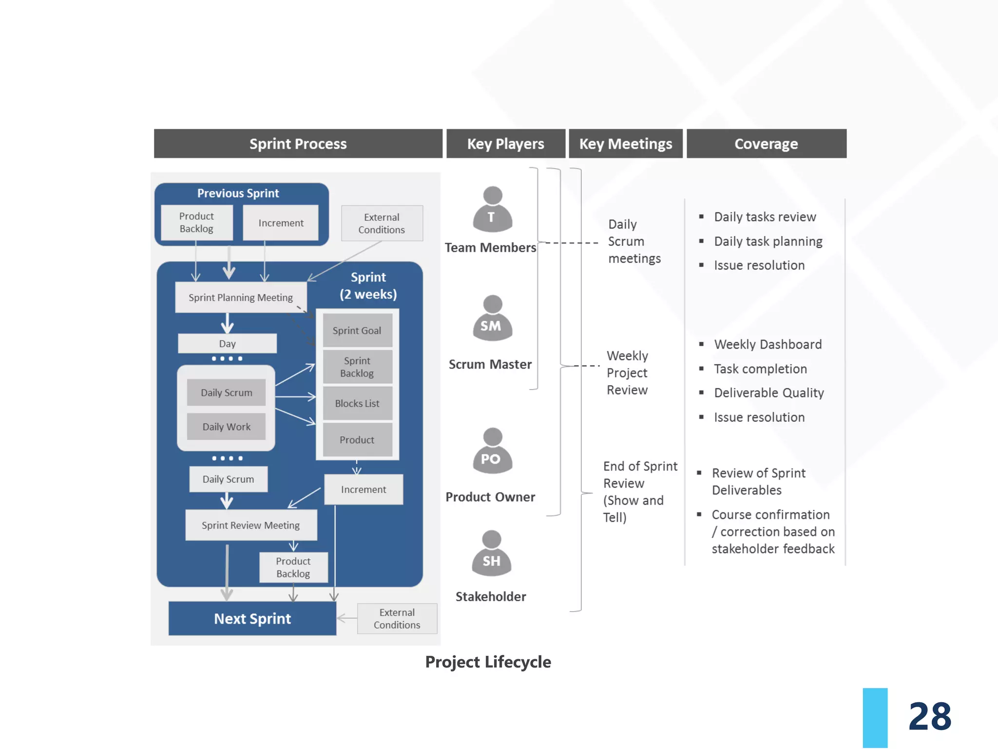 28
Project Lifecycle
 