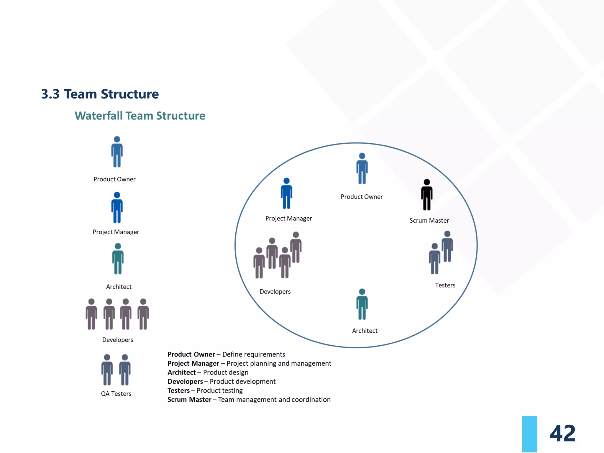 42
3.3 Team Structure
 