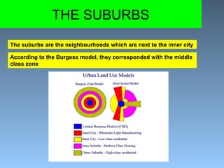 THE SUBURBS 
The suburbs are the neighbourhoods which are next to the inner city 
According to the Burgess model, they corresponded with the middle 
class zone 
 