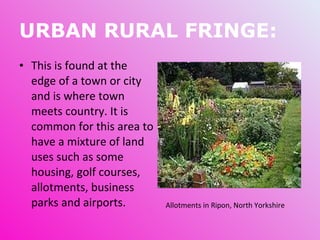 URBAN RURAL FRINGE: This is found at the edge of a town or city and is where town meets country. It is common for this area to have a mixture of land uses such as some housing, golf courses, allotments, business parks and airports. Allotments in Ripon, North Yorkshire 