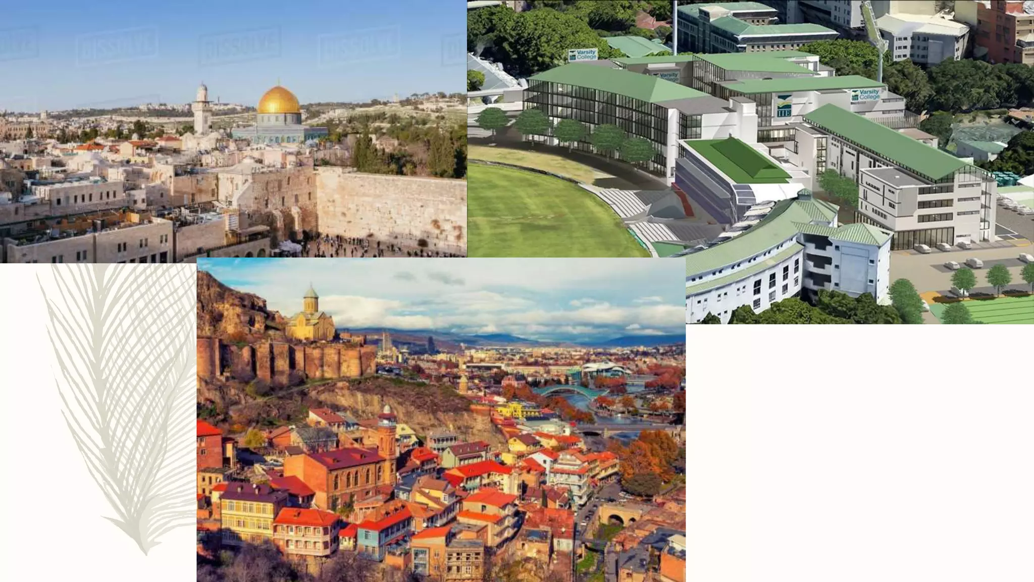 Grade 12 SETTLEMENT GEOGRAPHY PPT