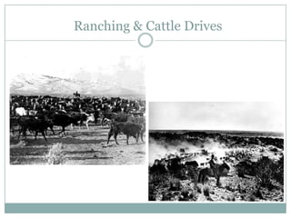 Ranching & Cattle Drives
 