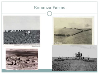 Bonanza Farms
 