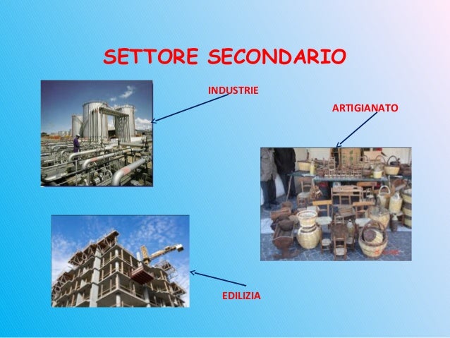 Settori di economia