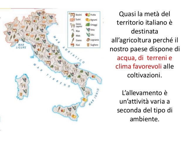 Settori economia