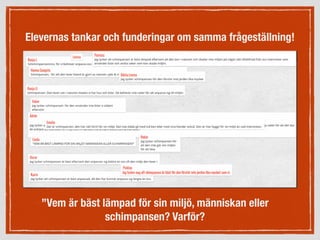 Elevernas tankar och funderingar om samma frågeställning!
”Vem är bäst lämpad för sin miljö, människan eller
schimpansen? Varför?
 