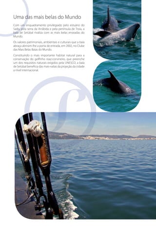 Uma das mais belas do Mundo
Com um enquadramento privilegiado pelo estuário do
Sado, pela serra da Arrábida e pela península de Troia, a
baía de Setúbal rivaliza com as mais belas enseadas do
Mundo.
Os valores patrimoniais, ambientais e culturais que a baía
abraça abriram-lhe a porta de entrada, em 2002, no Clube
das Mais Belas Baías do Mundo.
Constituindo o mais importante habitat natural para a
conservação do golfinho roaz-corvineiro, que preenche
um dos requisitos naturais exigidos pela UNESCO, a baía
de Setúbal beneficia das mais-valias da projeção da cidade
a nível internacional.

 