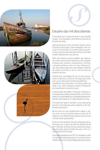 Estuário das mil descobertas
É inevitável que o roteiro de quem visita Setúbal
integre uma passagem pela Reserva Natural do
Estuário do Sado.
Apresentando-se como uma das maiores zonas
húmidas de Portugal, a área protegida, com cerca de 23 mil hectares, é rica tanto pelo seu património natural como pelo património construído
e pelas tradições das suas gentes.
Além dos diversos portos palafita, das cabanas
de colmo típicas da Carrasqueira e dos vestígios
civilizacionais romanos, muçulmanos e fenícios,
o Estuário perfila-se como um dos melhores locais para observação da comunidade residente
de roazes-corvineiros e de um sem-número de
espécies de aves.
Setúbal tem o privilégio de ser um dos poucos
locais no Mundo, e único em Portugal, que conta
com uma colónia permanente de golfinhos.
O golfinho roaz-corvineiro é um dos ex-líbris do
Sado e por serem bastante activos é frequente
acompanharem os barcos à proa.
A observação dos delfins é feita por empresas licenciadas para o efeito, durante todo o ano. No entanto, é uma atividade que é realizada preferencialmente na primavera e no verão, devido ao clima.
O Estuário do Sado é, também, uma importante
área de invernada para várias espécies e de nidificação para outras.
Numa zona em que predominam sapais e salinas, num só dia é possível observar mais de 50
espécies e em determinadas épocas do ano esse
número pode quadruplicar.
Entre as várias espécies de aves, destaque para o
flamingo, que a partir do final da década de 80
tem marcado, ao longo do ano, presença assídua
nas principais áreas húmidas do país, como é o
caso do Estuário do Sado.
Os passeios pedestres e em BTT, a canoagem, a vela
ati
e o windsurf estão favorecidos no conjunto de atividades de ar livre recomendadas para aquela zona.

 