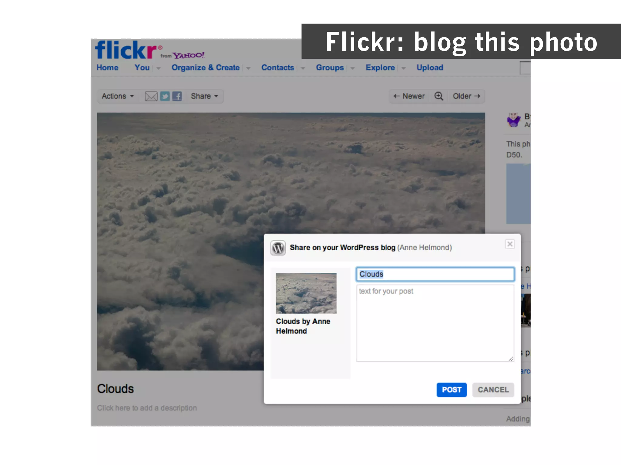 Flickr: blog this photo
 