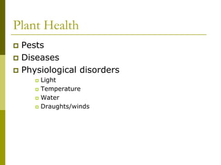Plant Health
 Pests
 Diseases
 Physiological disorders
     Light
     Temperature
     Water
     Draughts/winds
 