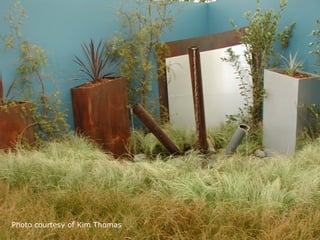 Photo courtesy of Kim Thomas
 