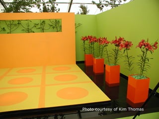 Photo courtesy of Kim Thomas
 