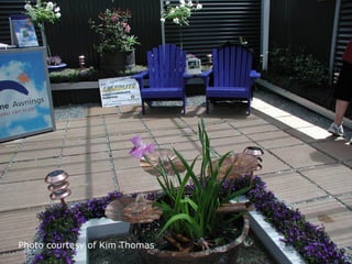 Photo courtesy of Kim Thomas
 