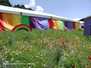 Photo courtesy of Kim Thomas
 