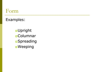 Form
Examples:

     Upright
     Columnar
     Spreading
     Weeping
 