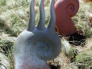 Photo courtesy of Kim Thomas
 