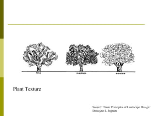Plant Texture


                Source: ‘Basic Principles of Landscape Design’
                Dewayne L. Ingram
 