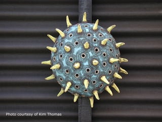 Photo courtesy of Kim Thomas
 