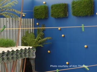 Photo courtesy of Kim Thomas
 