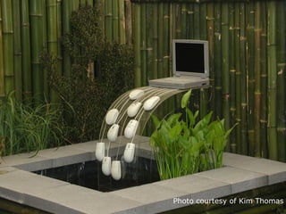 Photo courtesy of Kim Thomas
 