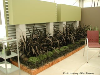 Photo courtesy of Kim Thomas
 