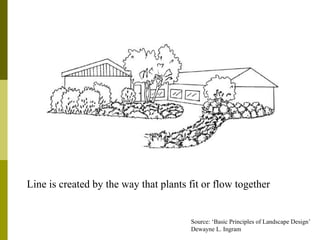 Line is created by the way that plants fit or flow together


                                       Source: ‘Basic Principles of Landscape Design’
                                       Dewayne L. Ingram
 