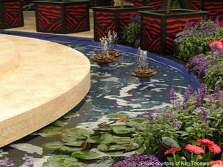 Photo courtesy of Kim Thomas
 