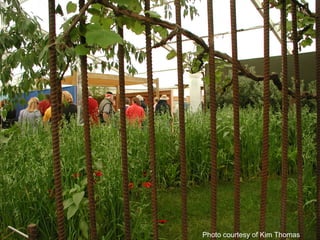 Photo courtesy of Kim Thomas
 