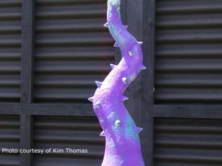 Photo courtesy of Kim Thomas
 