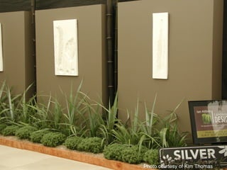 Photo courtesy of Kim Thomas
 