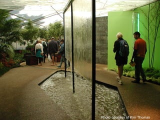 Photo courtesy of Kim Thomas
 