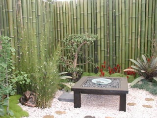 Photo courtesy of Kim Thomas
 