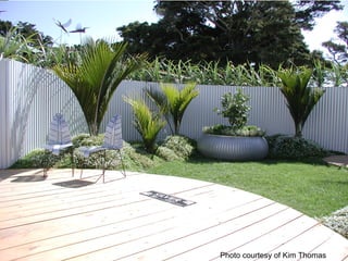 Photo courtesy of Kim Thomas
 