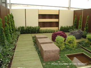 Photo courtesy of Kim Thomas
 