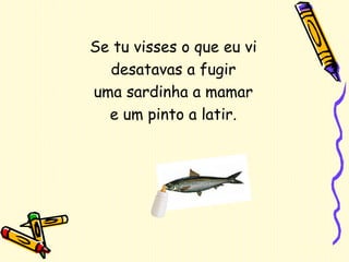 Se tu visses o que eu vi desatavas a fugir uma sardinha a mamar e um pinto a latir. 