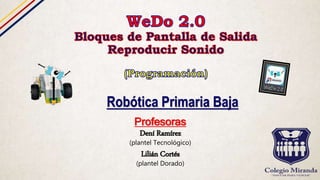 Profesoras
Dení Ramírez
(plantel Tecnológico)
Lilián Cortés
(plantel Dorado)
Robótica Primaria Baja
 
