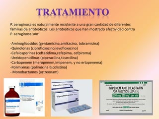 P. aeruginosa es naturalmente resistente a una gran cantidad de diferentes
familias de antibióticos. Los antibióticos que han mostrado efectividad contra
P. aeruginosa son:
-Aminoglicosidos (gentamicina,amikacina, tobramicina)
-Quinolonas (ciprofloxacino,levofloxacino)
-Cefalosporinas (ceftazidima,cefepima, cefpiroma)
-Ureidopenicilinas (piperacilina,ticarcilina)
-Carbapenem (meropenem,imipenem, y no ertapenema)
-Polimixinas (polimixina B,colistina)
- Monobactamos (aztreonam)
 