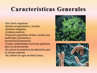 Características Generales
-Son Gram negativas
-Bacilos encapsulados y móviles
-Aerobios obligados
-Oxidasa positivos
-Producen pigmentos verdes y azules que
sedifunden (piocianina o
pioverdina,fluoresceína)
-Oxidan carbohidratos como las galactosa
pero no los fermentan
-Es común la presencia de plásmidos pero
no forman esporas
-Se cultivan en agar de MacConkey
 