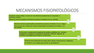 MECANISMOS FISIOPATOLÓGICOS
Inhibición motora refleja a través de vías aferentes esplácnicas en respuesta a
estímulos nocivos
Aferencia motora simpática (inhibidora) excesiva al intestino (no se contrae)
Aferencia motora parasimpática (excitadora) excesiva al intestino (no se relaja)
Disminución de la aferencia motora parasimpática (excitadora) al intestino (no
se contrae)
Estimulación excesivade los receptores de opioides μ periféricos por opioides
endógenos o exógenos (inicialmente activación intestinal, seguida de
inhibición prolongada que impide la contracción)
Inhibición de la liberación de óxido nítrico desde motoneuronas inhibidoras
(el intestino no se relaja para permitir el peristaltismo)
 