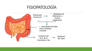FISIOPATOLOGÍA
Inflamación
transmural
↑ Mediadores de
inflamación y
toxinas
bacterianas
↑ concentración de óxido
nítrico sintetasa
inducible
↑ [NO]
Inhibición del
tono de la
musculatura lisa
Dilatación
del colon
 