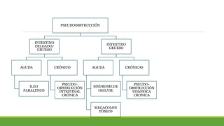 PSEUDOOBSTRUCCIÓN
INTESTINO
DELGADO/
GRUESO
AGUDA
ILEO
PARALITICO
CRÓNICO
PSEUDO-
OBSTRUCCIÓN
INTESTINAL
CRÓNICA
INTESTINO
GRUESO
AGUDA
SINDROME DE
OGILVIE
MEGACOLON
TÓXICO
CRÓNICAS
PSEUDO-
OBSTRUCCIÓN
COLONICA
CRONICA
 